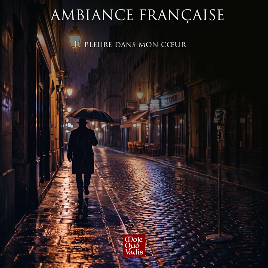 Il pleure dans mon cœur